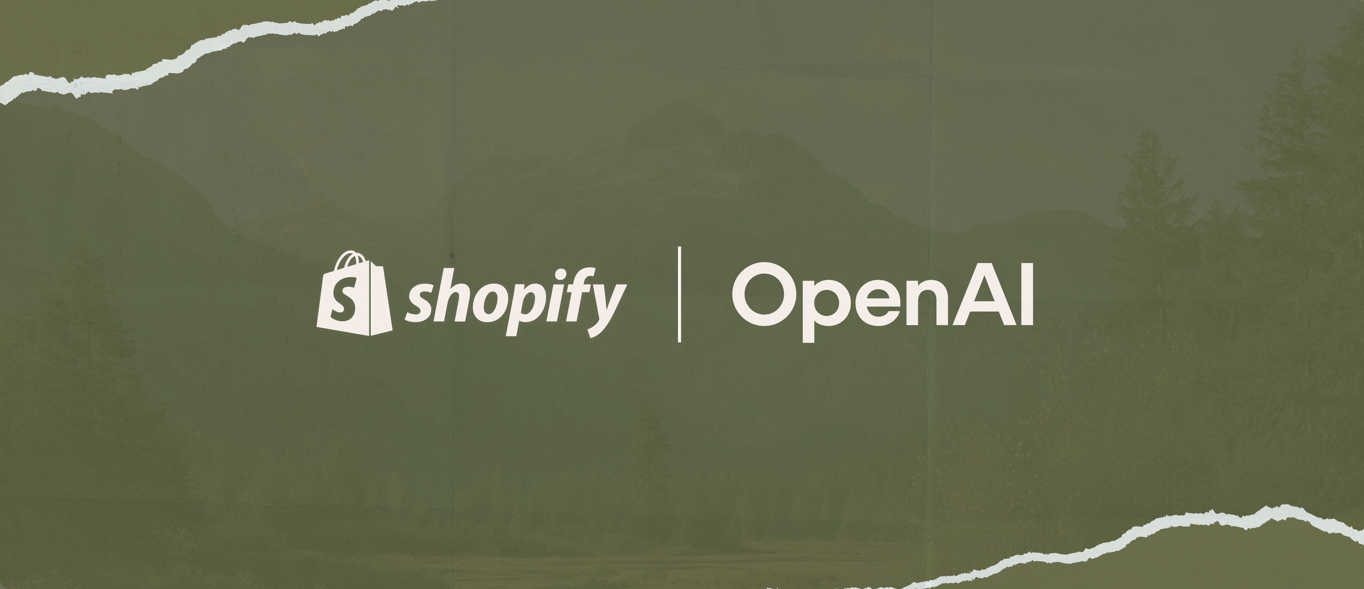 Image for Issue 206 - Built for Shopify apps get priority visibility across the Shopify App Store